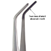 Two rows of small atraumatic teeth